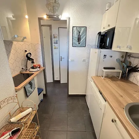 Apartment T2 Cabine, Terrasse, Parking Prive, Animaux Acceptes - Fr-1-702-38 *