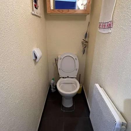 Apartment T2 Avec Terrasse, Parking Et Animaux Acceptes A 100m De La - Fr-1-702-38